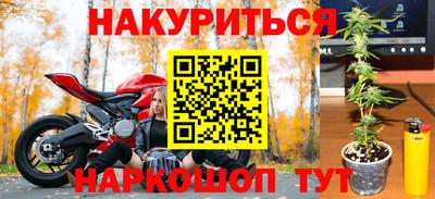 стаф Ирбит