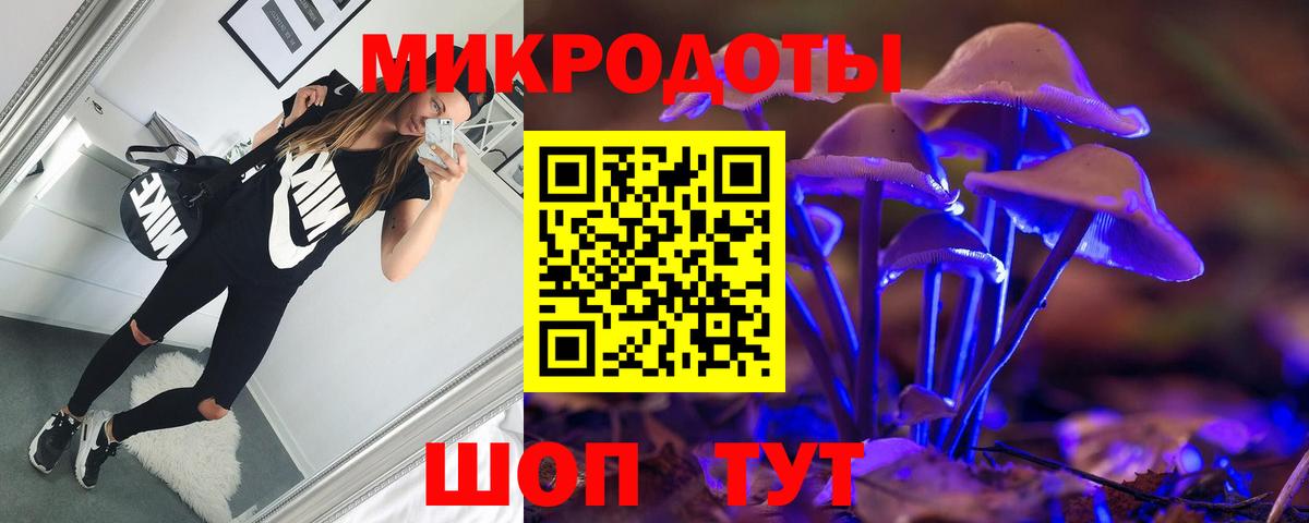 Галлюциногенные грибы Psilocybine cubensis  Вход с VPN  Десногорск 